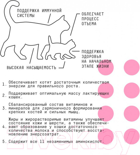 Изображение товара Сухой корм для кошек AJO Cat Kitten & Mom для котят, беременных и кормящих кошек (10кг)