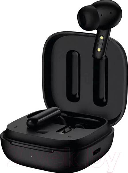 Изображение товара Беспроводные наушники QCY T13 ANC / BH22DT10A (черный)