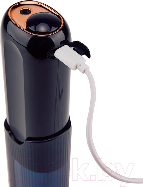 Изображение товара Ирригатор Evolution WF-03 (темно-синий)