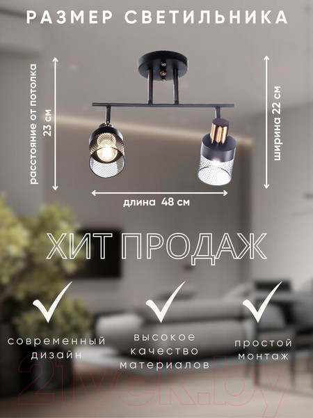 Изображение товара Спот Aitin-Pro НПБ 02-2x60-101 / N6239/2 (черный/бронза)