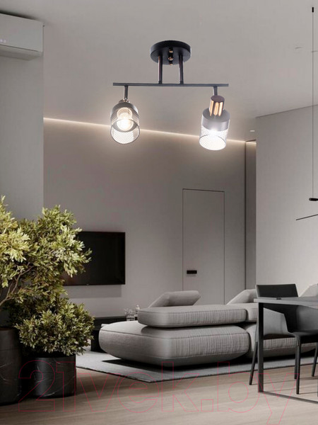 Изображение товара Спот Aitin-Pro НПБ 02-2x60-101 / N6239/2 (черный/бронза)