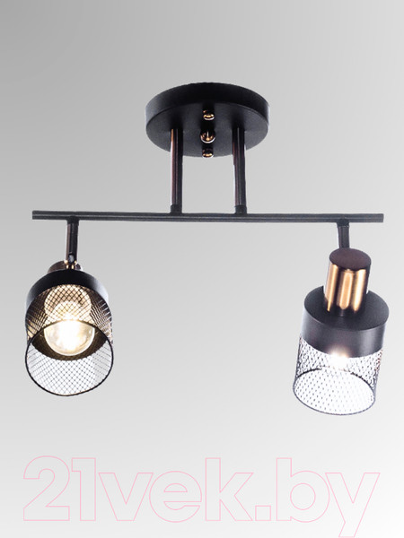 Изображение товара Спот Aitin-Pro НПБ 02-2x60-101 / N6239/2 (черный/бронза)