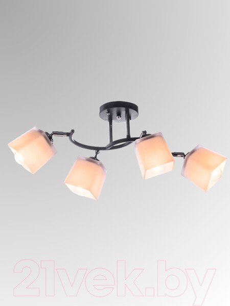 Изображение товара Спот Aitin-Pro НПБ 02-4x60-101 / N6106/4 (черный/хром)