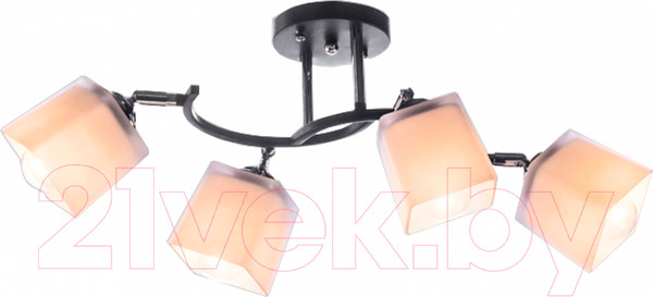 Изображение товара Спот Aitin-Pro НПБ 02-4x60-101 / N6106/4 (черный/хром)