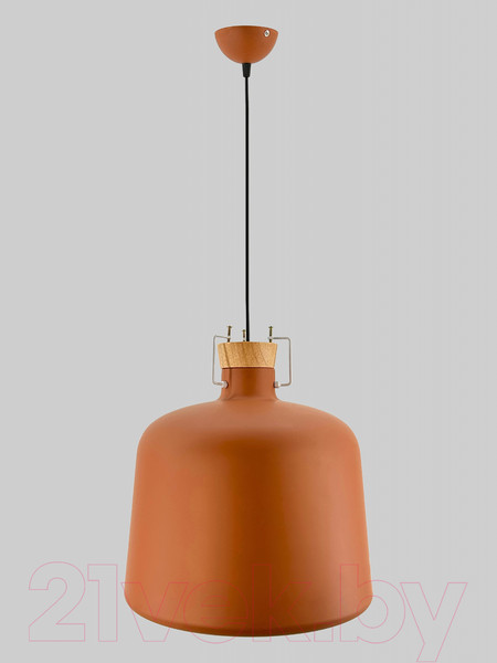 Изображение товара Потолочный светильник Aitin-Pro НCБ 01-60-101 / 6455A (коричневый)