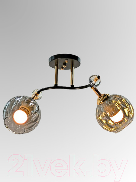 Изображение товара Спот Aitin-Pro НПБ 02-2x60-101 / N5676/2 (кофе/золото)