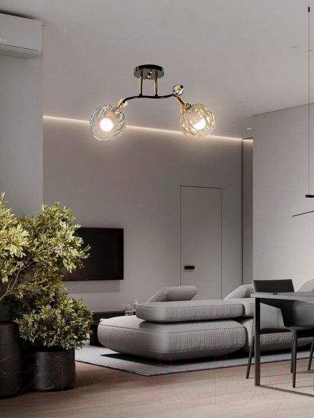 Изображение товара Спот Aitin-Pro НПБ 02-2x60-101 / N5676/2 (кофе/золото)