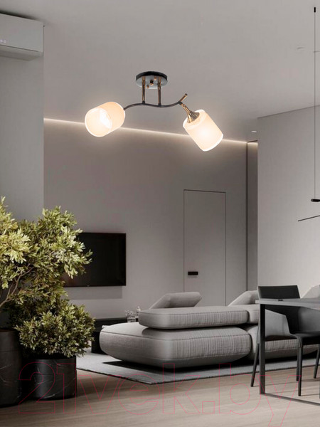 Изображение товара Спот Aitin-Pro НПБ 02-2x60-101 / N6089/2 (кофе/золото)