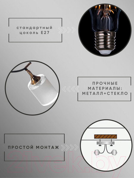 Изображение товара Спот Aitin-Pro НПБ 02-2x60-101 / N6089/2 (кофе/золото)