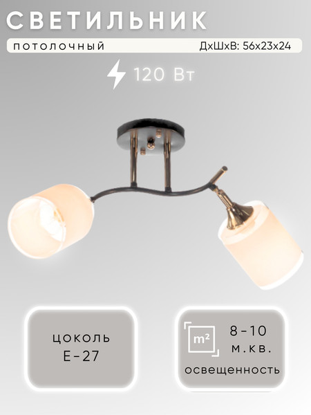 Изображение товара Спот Aitin-Pro НПБ 02-2x60-101 / N6089/2 (кофе/золото)