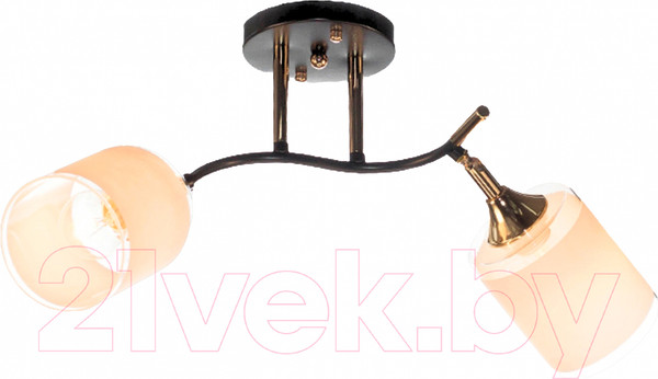 Изображение товара Спот Aitin-Pro НПБ 02-2x60-101 / N6089/2 (кофе/золото)