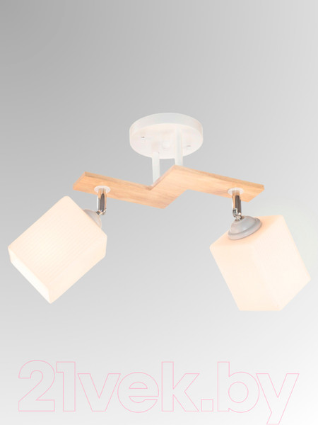 Изображение товара Спот Aitin-Pro НПБ 02-2x60-101 / N5291/2 (белый/дерево)