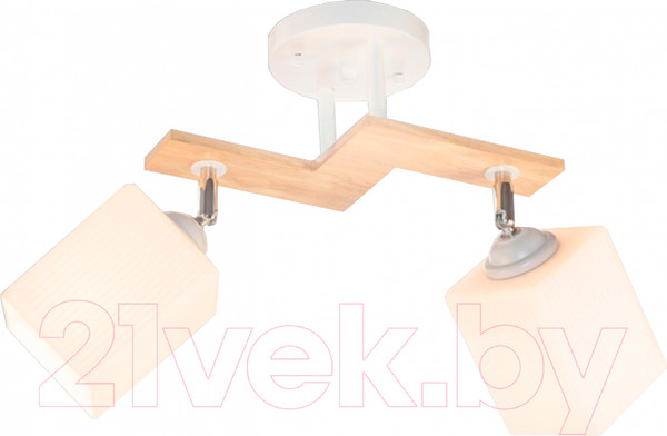 Изображение товара Спот Aitin-Pro НПБ 02-2x60-101 / N5291/2 (белый/дерево)