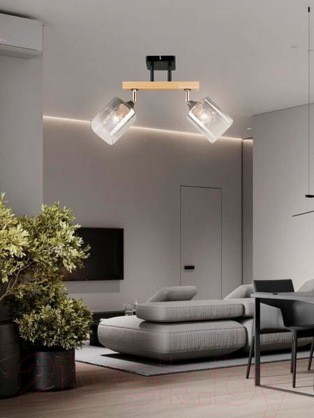 Изображение товара Спот Aitin-Pro НПБ 02-2x60-101 / N5280/2 (черный/дерево)