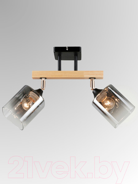 Изображение товара Спот Aitin-Pro НПБ 02-2x60-101 / N5280/2 (черный/дерево)