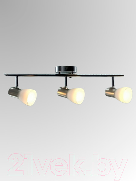 Изображение товара Спот Aitin-Pro НПБ 02-3х60-102 / S5186/3 (хром/титан)