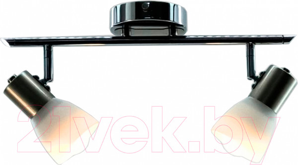 Изображение товара Спот Aitin-Pro НПБ 02-2х60-102 / S5186/2 (хром/титан)