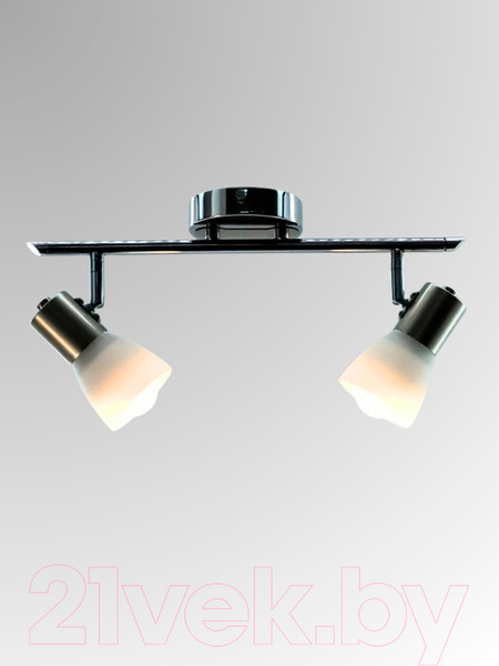 Изображение товара Спот Aitin-Pro НПБ 02-2х60-102 / S5186/2 (хром/титан)