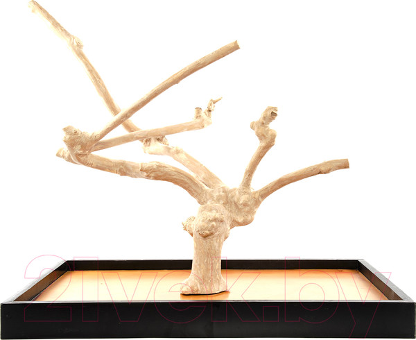 Изображение товара Игровая площадка для птиц Coffee Wood Кофейное дерево / TABLETOP/CW-L