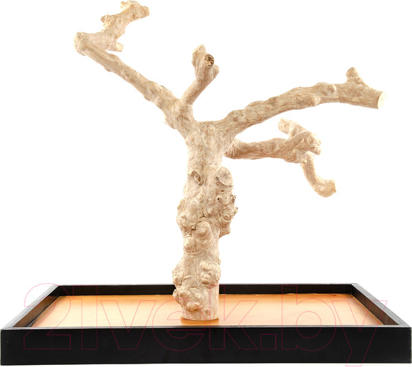 Изображение товара Игровая площадка для птиц Coffee Wood Кофейное дерево / TABLETOP/CW-L