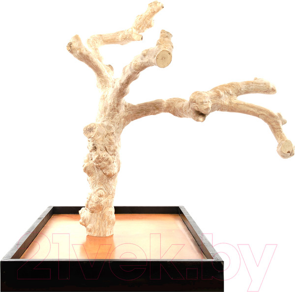 Изображение товара Игровая площадка для птиц Coffee Wood Кофейное дерево / TABLETOP/CW-L