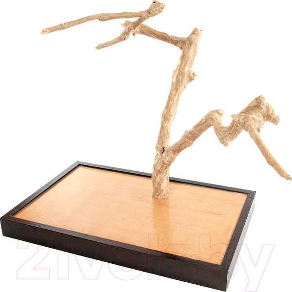 Изображение товара Игровая площадка для птиц Coffee Wood Кофейное дерево / TABLETOP/CW-M