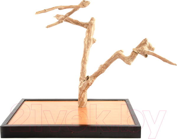 Изображение товара Игровая площадка для птиц Coffee Wood Кофейное дерево / TABLETOP/CW-M