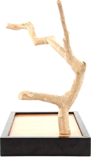 Изображение товара Игровая площадка для птиц Coffee Wood Кофейное дерево / TABLETOP/CW-S