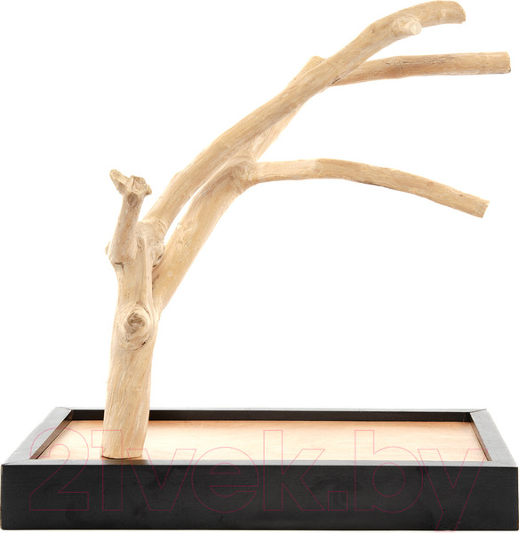 Изображение товара Игровая площадка для птиц Coffee Wood Кофейное дерево / TABLETOP/CW-S