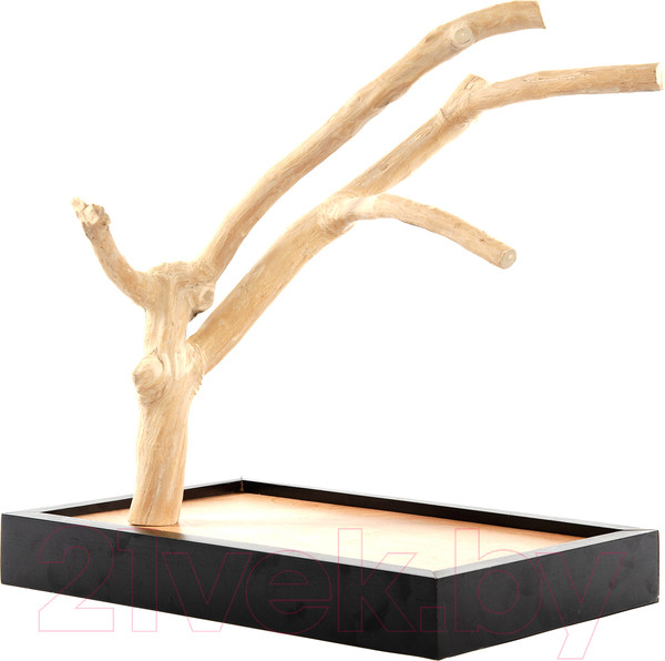Изображение товара Игровая площадка для птиц Coffee Wood Кофейное дерево / TABLETOP/CW-S