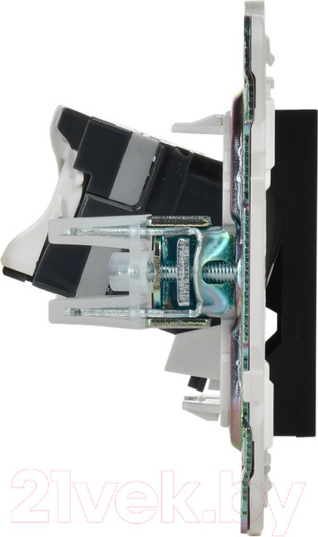 Изображение товара Розетка IEK Skandy SK-K10-1-K02 (черный)