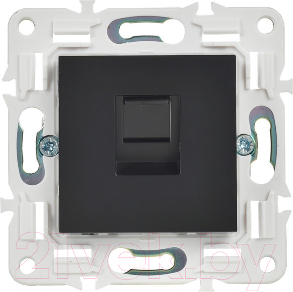 Изображение товара Розетка IEK Skandy SK-K10-1-K02 (черный)