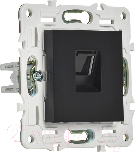 Изображение товара Розетка IEK Skandy SK-K10-1-K02 (черный)