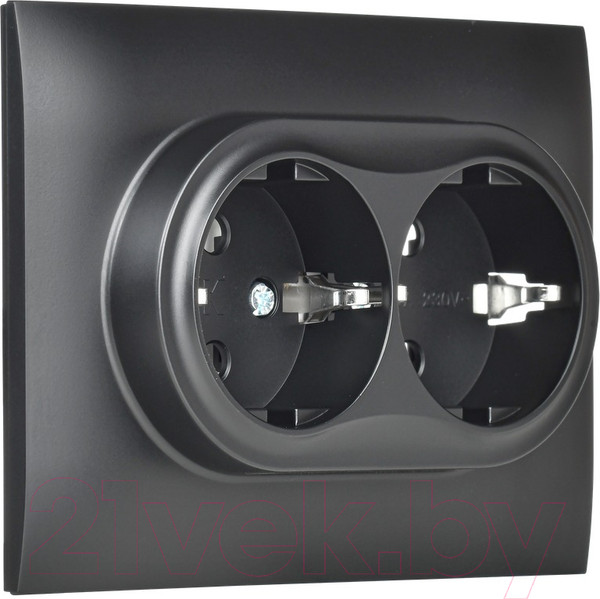 Изображение товара Розетка IEK Skandy SK-R21-16-K02-F (черный)