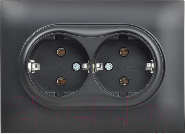 Изображение товара Розетка IEK Skandy SK-R21-16-K02-F (черный)