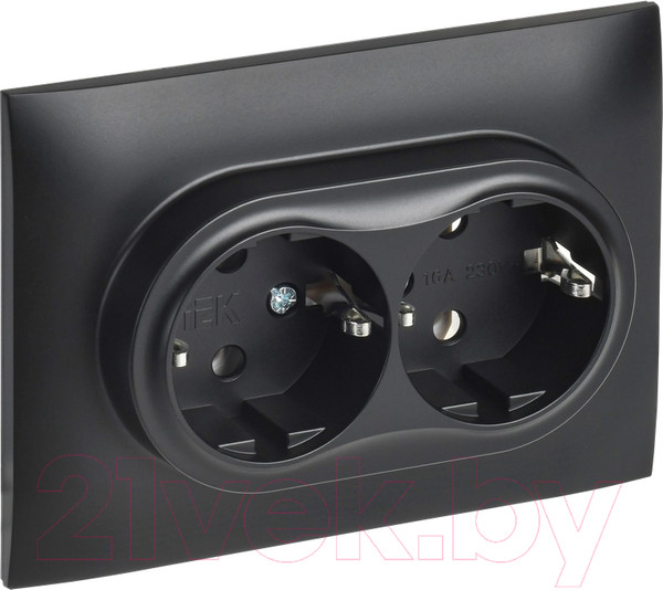 Изображение товара Розетка IEK Skandy SK-R21-16-K02-F (черный)