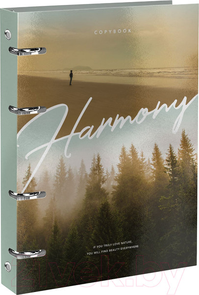 Изображение товара Тетрадь Schoolformat Твой пейзаж / ТОКК120-ТП (120л)