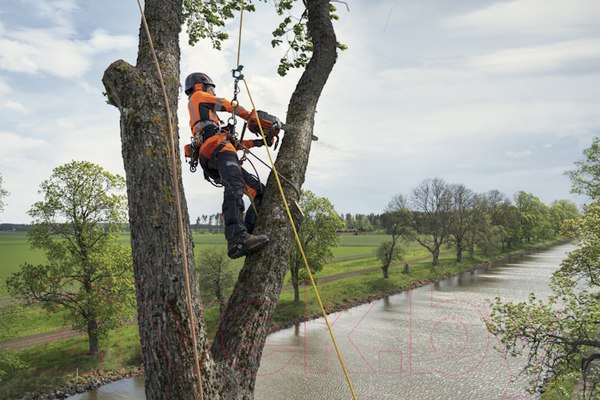 Изображение товара Бензопила цепная Husqvarna T540XP Mark III / 970 51 79-14