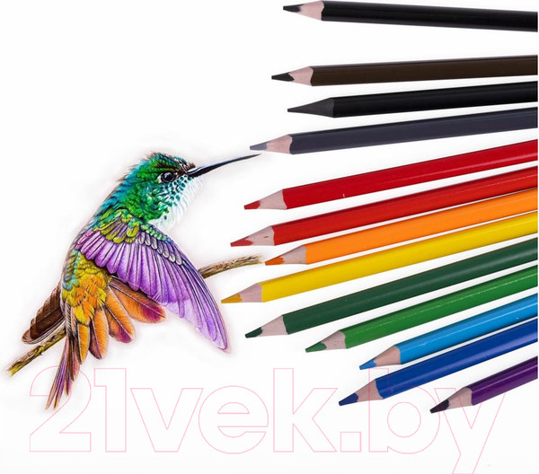 Изображение товара Набор цветных карандашей Brauberg 181936