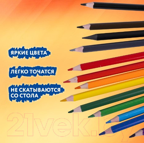 Изображение товара Набор цветных карандашей Brauberg 181936