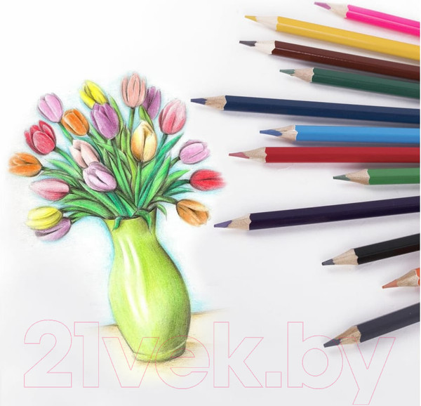 Изображение товара Набор цветных карандашей Brauberg Стираемые / 181932