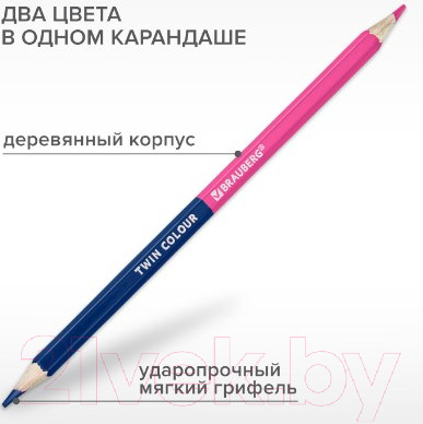 Изображение товара Набор цветных карандашей Brauberg Двусторонние / 181874
