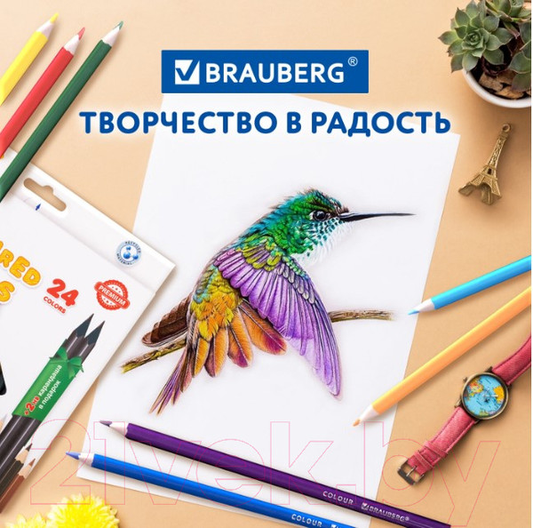 Изображение товара Набор цветных карандашей Brauberg 181937