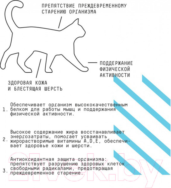 Изображение товара Сухой корм для кошек AJO Аctive для активных кошек ,курица и индейка (1.5кг)