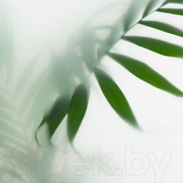 Изображение товара Фотообои листовые Citydecor Цветы и растения 155 (400x260см)