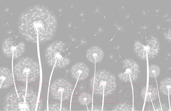 Изображение товара Фотообои листовые Citydecor Цветы и растения 9 (400x260см)