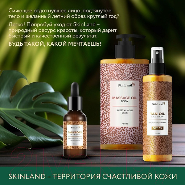 Изображение товара Спрей-автозагар SkinLand Tan Spray для лица (110мл)