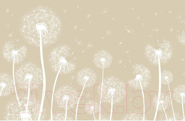 Изображение товара Фотообои листовые Citydecor Цветы и растения 10 (400x260см)