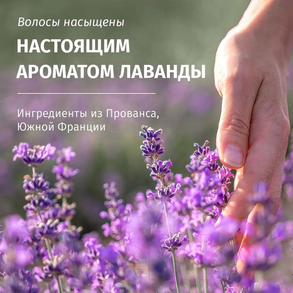 Изображение товара Шампунь для волос Herbal Essences Аромат Лаванды (350мл)