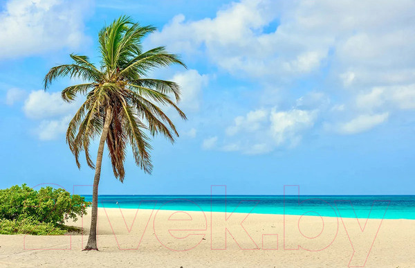 Изображение товара Фотообои листовые Citydecor Море и водопады 46 (400x260см)